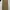 Dickies double knee khaki photo 3