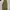 Dickies double knee khaki photo 1