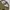 Dickies double knee khaki photo 4