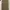 Dickies double knee khaki photo 2