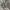 A Bathing Ape Glow In The Dark City Camo Shark photo 7