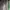 Adidas Casual Sneakers Pria green black photo 6