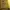 Casual Boots Pria green tan photo 5