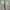 Casual Boots Pria green tan photo 7