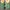 Casual Boots Pria green tan photo 6