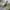 Casual Boots Pria green tan photo 1