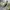 Casual Boots Pria Green Tan