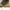 Casual Boots Pria green tan photo 2