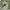 Casual Boots Pria green tan photo 4