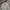PULL OVER HOODIE VINTAGE KARLKANI OVERSIZE BOXY photo 2