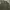 ARMY GREEN OUTERSHIRT NIKO AND DOUBLE POCKET UNISEX photo 2