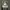 HOODIE LECOQ SPORTF photo 2