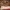 Casual Shoulder bag Wanita tan photo 1