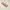 Anua 77% niacin photo 5