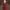 Minimalist Crossbody Bag Wanita red photo 5