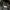 Hope Manufacturing Flying Jacket Type N-3B photo 8