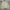 Japanese brand Vintage Cardigan Pria khaki photo 1