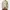 Japanese brand Vintage Cardigan Pria khaki photo 2