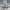 Chambre De La Vain Streetwear Casual Jeans Pria White Blue