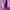 ALLY Purple Top photo 3