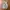 Shein korea parachute cargo baloon pants photo 2