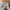 Shein korea parachute cargo baloon pants photo 4