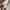 Shein korea parachute cargo baloon pants photo 5