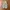 Shein korea parachute cargo baloon pants photo 8