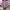 Etro Milano Italy Multicolored Striped Chest Logo Shirts photo 7