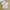 Polo taylormade golf wanita photo 1