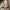 Lolita Coquette Prom dress Wanita gray photo 3