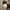 Lavee Kiara Skirt (Rok susun pendek) photo 1