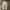 Nike Streetwear Y2K Sweatpants & Joggers Pria gray photo 1