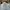 Polo Ralph Lauren Streetwear Y2K Formal shirt Pria blue photo 2