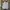 Polo Ralph Lauren Streetwear Y2K Formal shirt Pria blue photo 1