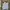 Polo Ralph Lauren Streetwear Y2K Formal Shirt Pria Blue