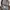 Kalibre Devider 15L  photo 5