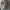 Kalibre Devider 15L  photo 3