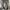 Kalibre Devider 15L  photo 4
