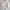 Streetwear Vintage Bomber jacket Wanita white photo 3