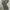 👖✨ Indian Rose Vintage Flare Jeans – Y2K Vibes photo 5
