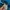 Oakley Vintage Streetwear Casual pants Pria blue photo 6