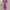 Dress  photo 1
