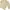 Titleist Casual Minimalist Sweatshirt Pria Cream