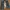 Jungle Storm Streetwear Jeans Pria blue photo 8