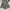 Avant Garde Casual Formal shirt Pria green photo 6