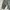 Avant Garde Casual Formal shirt Pria green photo 4