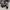 VANS Minimalist Sneakers Pria white black photo 2