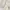 Cloud Skirt Posha - Beige photo 1
