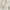 Cloud Skirt Posha - Beige